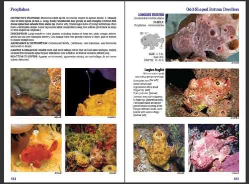 Reef Fish Identification - Florida Caribbean Bahamas - 4th Edition