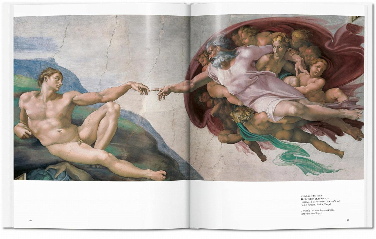 Michelangelo (Basic Art)