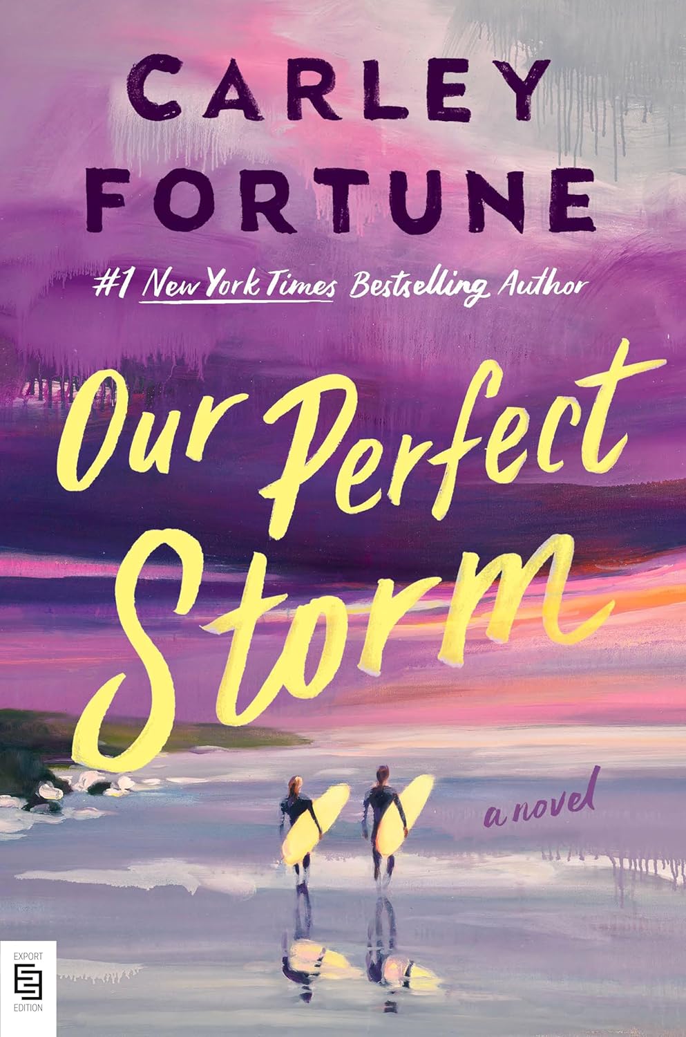 Our Perfect Storm by Carley Fortune