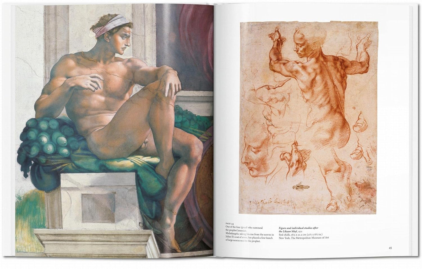 Michelangelo (Basic Art)