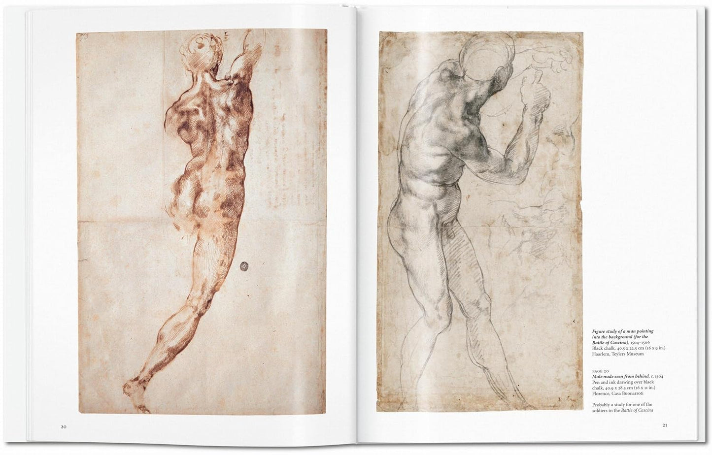 Michelangelo (Basic Art)