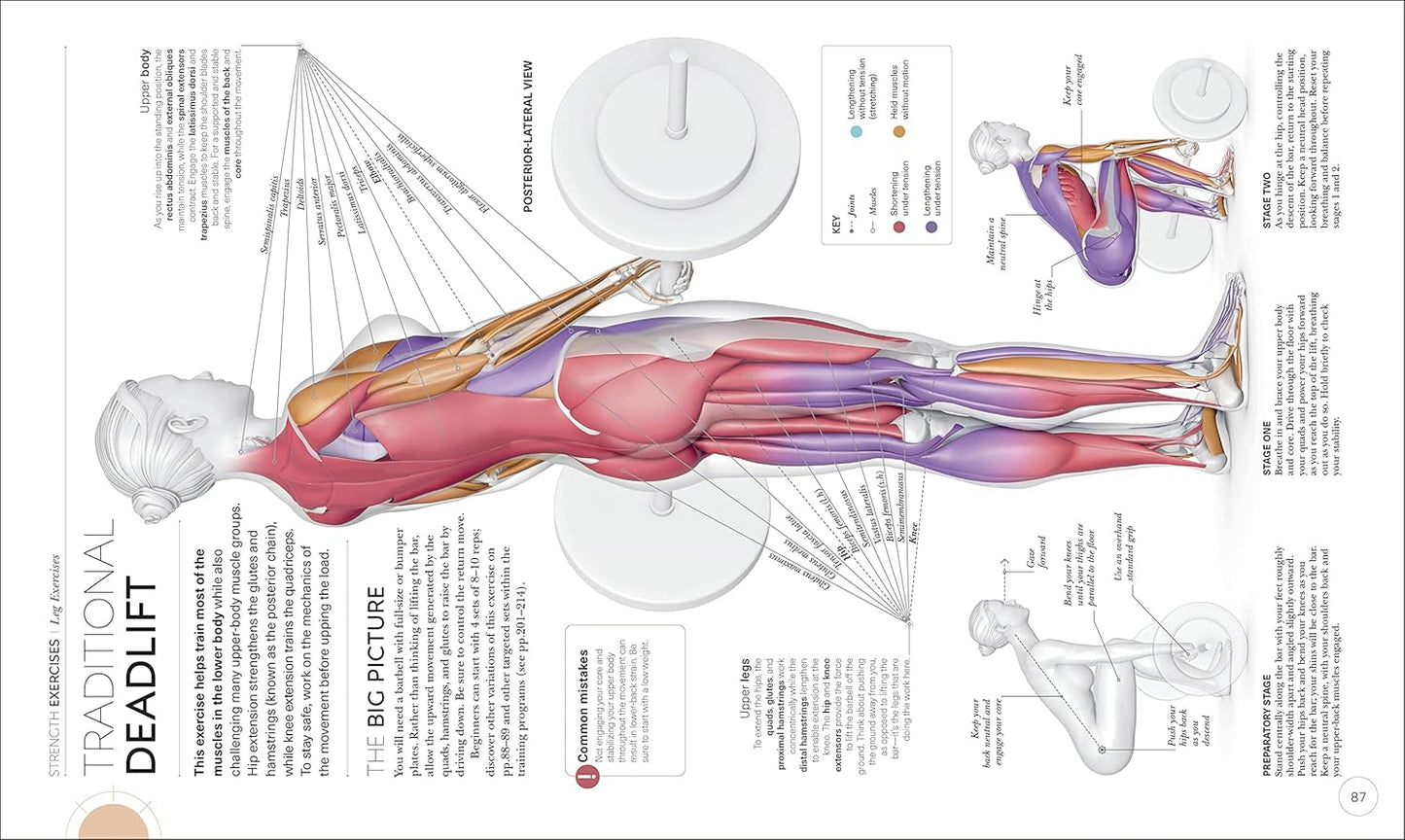 Science of Strength Training: Understand the anatomy and physiology to transform your body (The Science of Fitness)